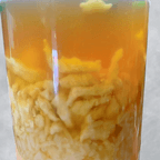 Best Chicken Rice Soup in Albany, NY